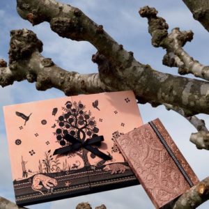 Collection Bois Paradis