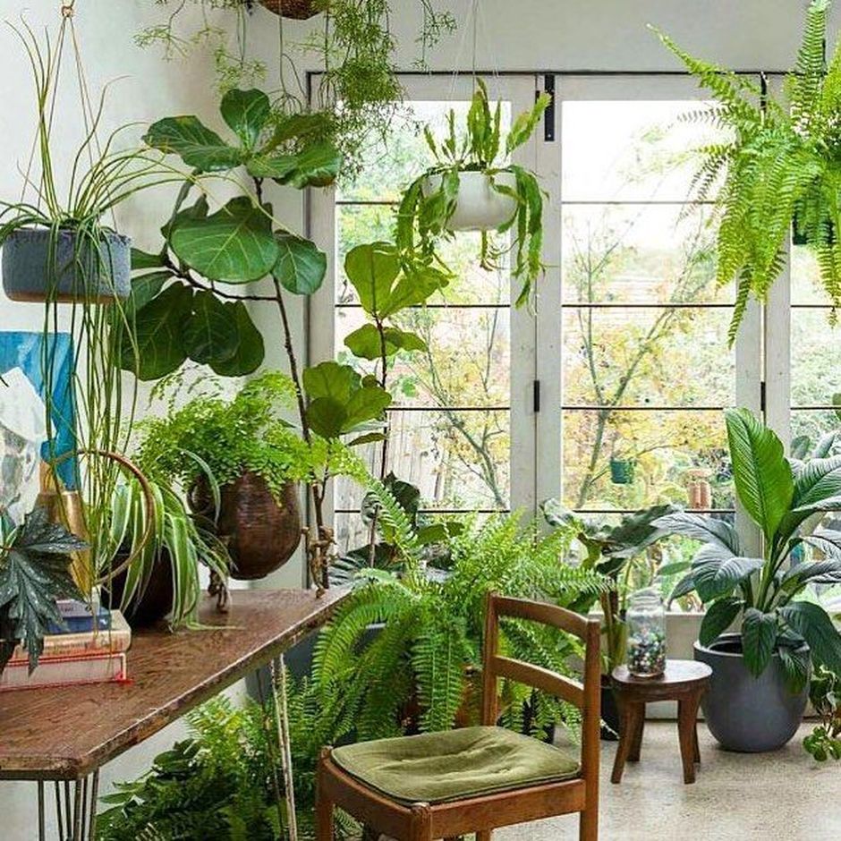 Jardinière d'intérieur 'Indoor Jungle' - Vente en ligne au