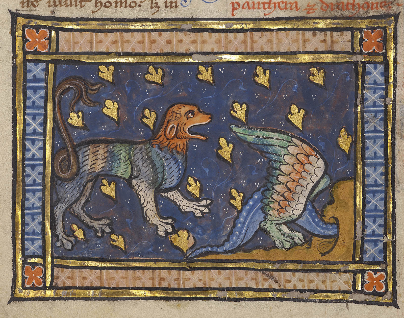 Dogs in Medieval Manuscripts - Saveca - Art & Paper distribution