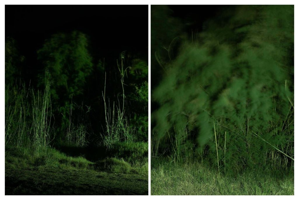 I’ll let you be in my dreams if I can be in yours