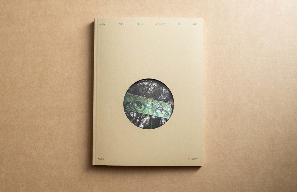 And Into The Forest I Go