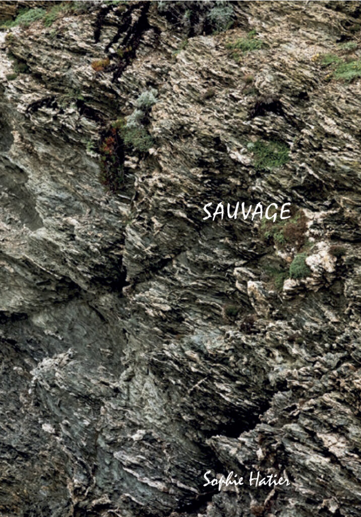 Sauvage