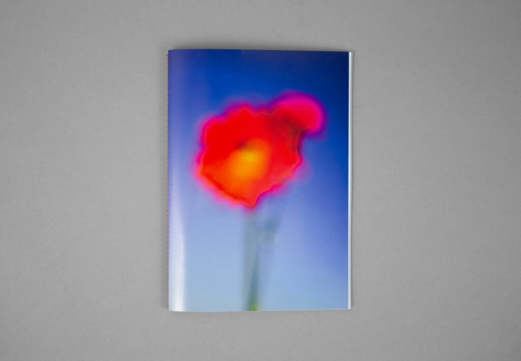 It’s a very beautiful day